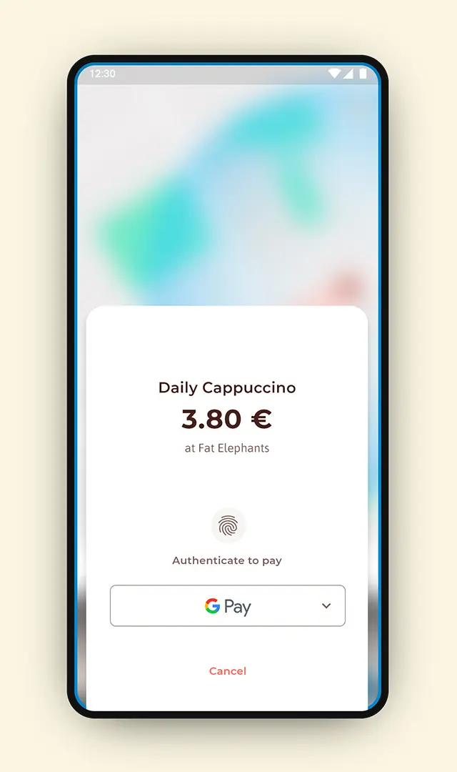 App Mock-Up Google Pay dialog